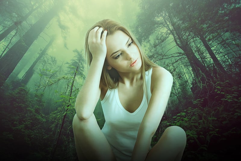 Mysterious Forest