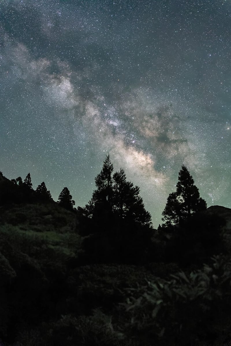 Mysterious Night Sky